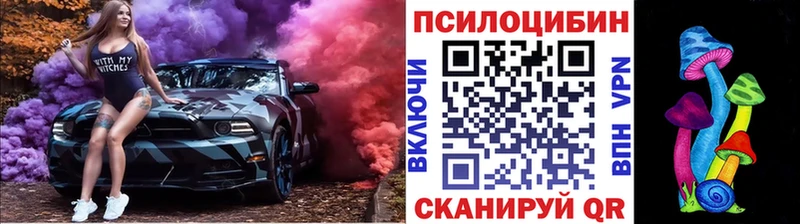 магазин продажи   Георгиевск  Галлюциногенные грибы мицелий 